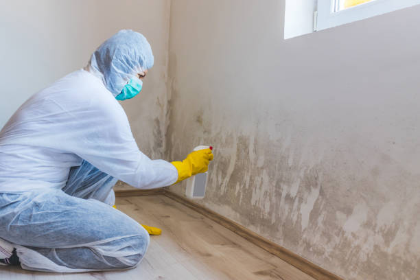 Licensed Commercial Mold Remediation service in Redmond, WA - WQB Mold Removal