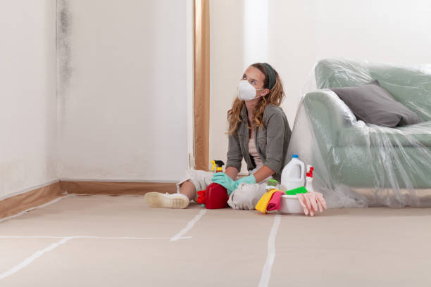 Reliable Commercial Mold Remediation contractor in Redmond, WA by WQB Mold Removal